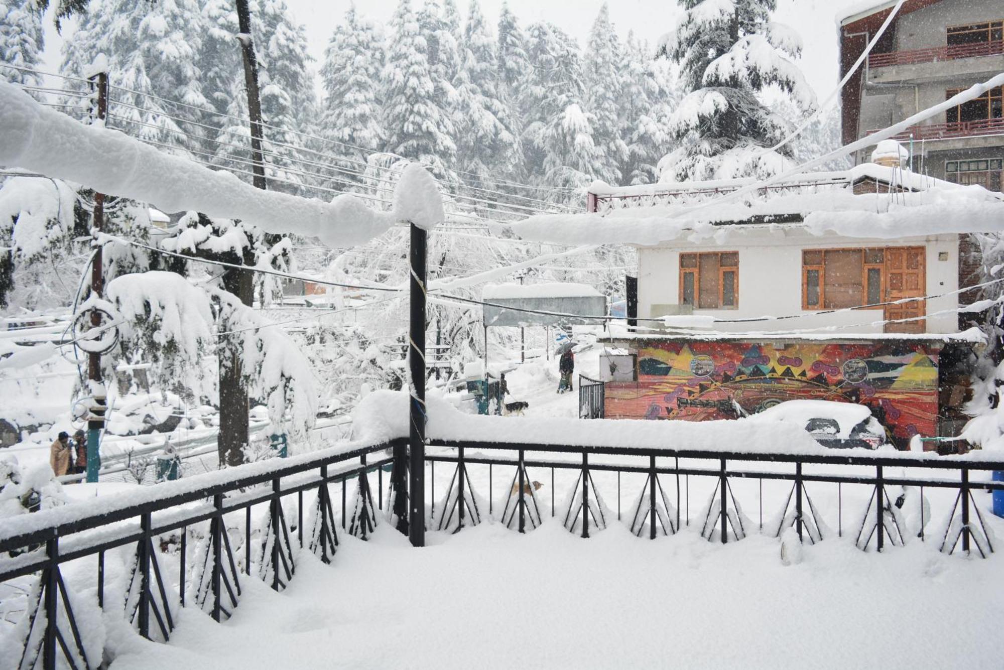 The Neelgiris Hotel - Manali (Himachal Pradesh) — Photos 1